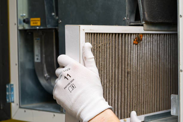 Best Commercial Air Duct Cleaning  in Poipu, HI